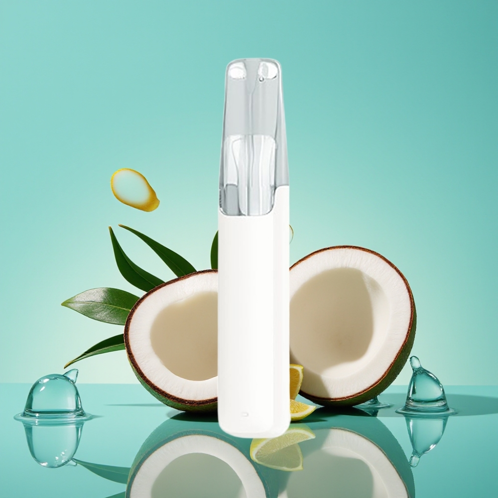 Snowplus Dash 4000 Puffs 75 ml Kokoswater Keramisch 530 mAh