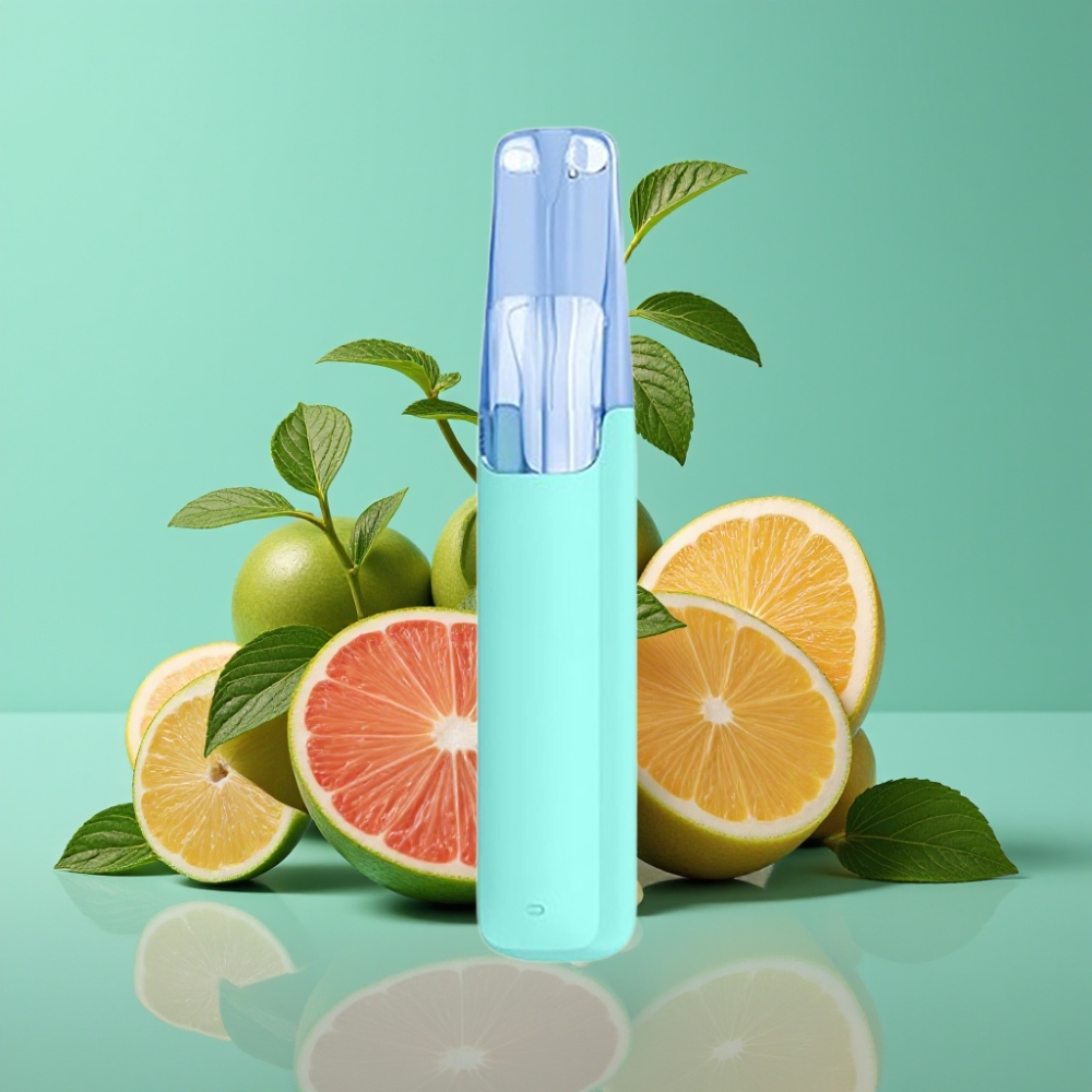 Snowplus Dash 4000 Puffs Keramisch 75 ml Menthol Plus