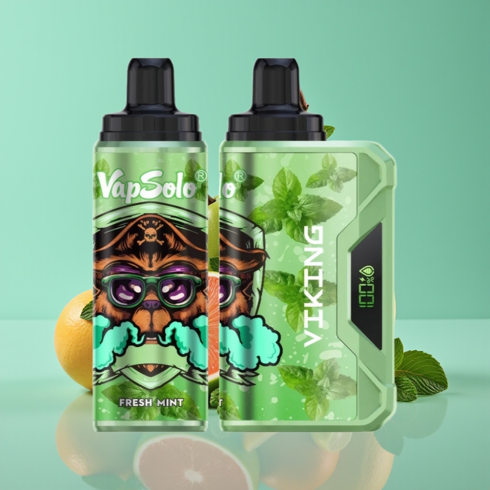 VapSolo VIKING 12000 Puffs 22ml Vers Vrieze Munt Wegwerp Vape