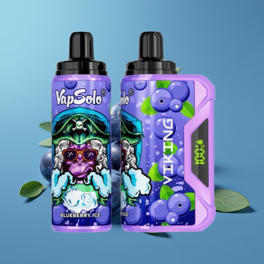 VapSolo VIKING 12000 Puffs Wegwerp Vape Blauwe Bes 22ml Type-C