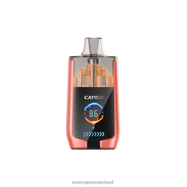 aardbei watermeloen LAVIE CAMEO 30.000 trekjes Z8D0024 | Lavie Vape Price