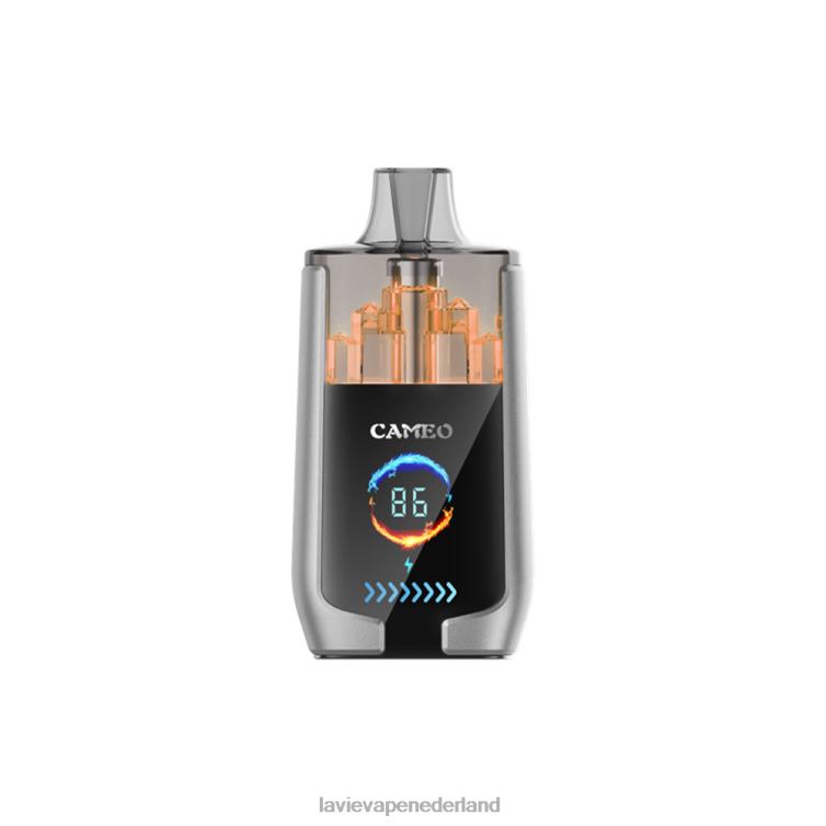 bosbessen ijs LAVIE CAMEO 30.000 trekjes Z8D0015 | Lavie Vape Kopen