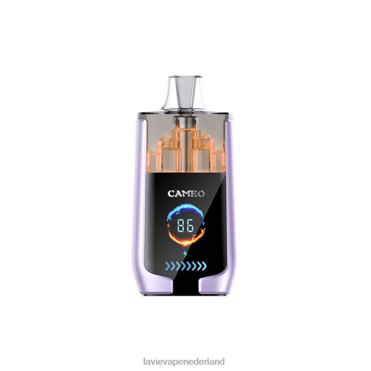 druiven ijs LAVIE CAMEO 30.000 trekjes Z8D0016 | Lavie Vape Winkel