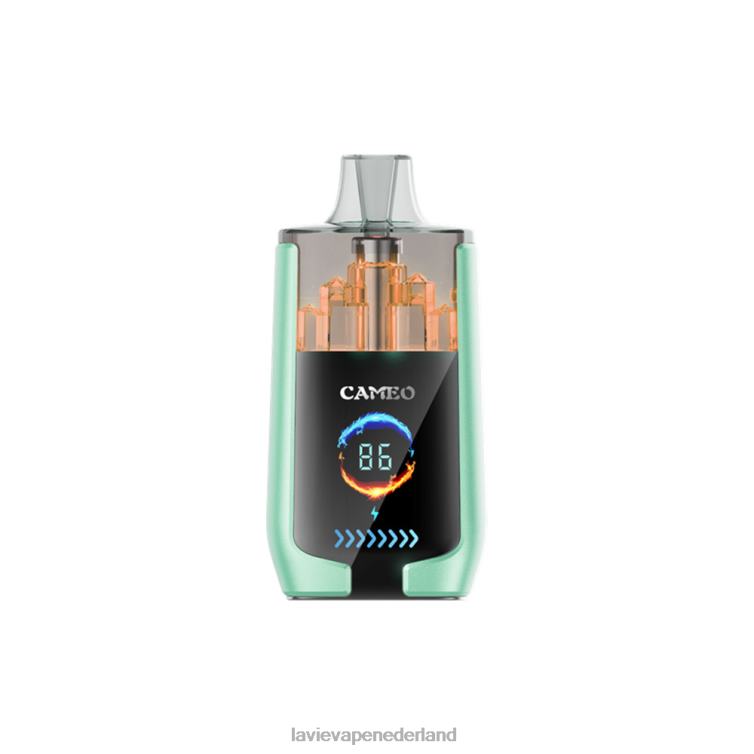 dubbele appel LAVIE CAMEO 30.000 trekjes Z8D0020 | Lavie Vape Prijs