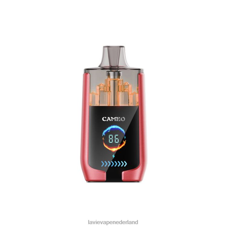watermeloen ijs LAVIE CAMEO 30.000 trekjes Z8D0014 | Lavie Vape Prijs