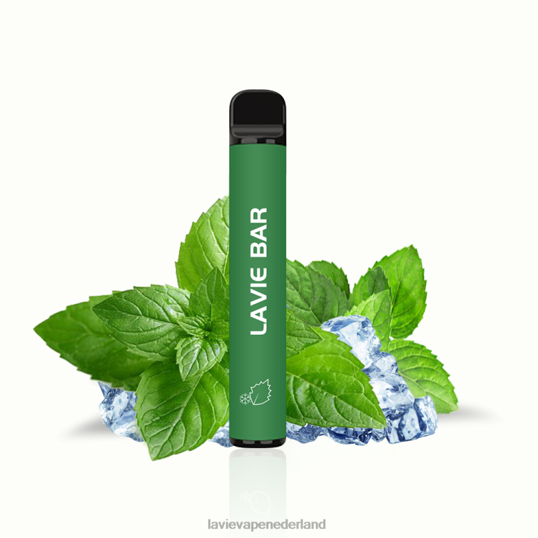 koele munt LAVIE BAR 2% versie 800 trekjes Z8D00320 | Lavie Vape Prijs